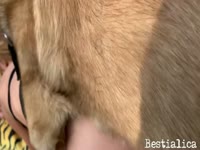 [ Beast Tube ] Dog in the zoo pounded the pussy of a masked whore